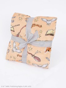 Deka mikroplyš Harry Potter 150 × 200 cm - Marhuľová