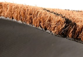 Vonkajšia rohožka Hedgehog, 75x40 cm