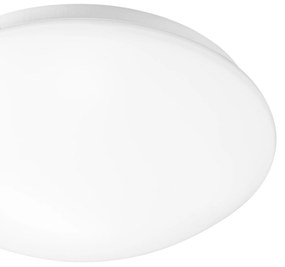 Toolight - LED stropná lampa 33cm okrúhla APP756-1C, biela, OSW-06514