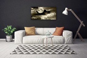 Obraz na plátne Noc mesiac príroda 120x60 cm