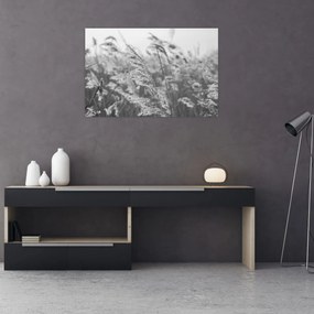 Obraz - Tráva vo vetre (90x60 cm)