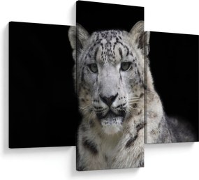 Obraz - Leopard snežný (90x60 cm)