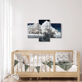 Obraz - Snehobiele stromy (90x60 cm)