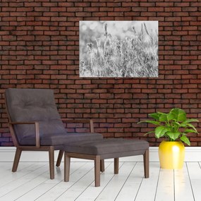 Sklenený obraz - Chladná zima (70x50 cm)