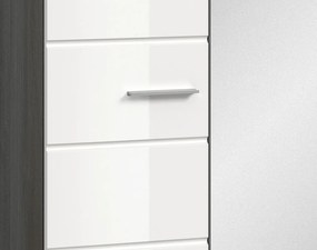 Predsieňová skriňa so zrkadlom Salsa, šedý dub/biely lesk