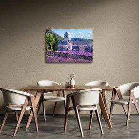 Obraz - Levanduľové pole (70x50 cm)