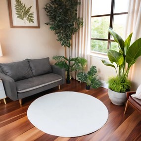 Koberec RABBIT 3D biely kruh