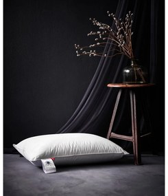 Vankúš s páperovou výplňou 50x70 cm Capella High – Universe of Sleeping