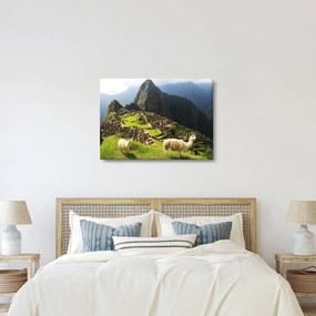 Obraz - Machu Picchu (70x50 cm)