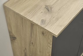 Skrinka s 2 zásuvkami Bacalar, dub viking/sivá