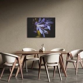 Obraz - Lila (70x50 cm)