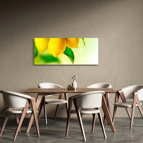 Obraz citrónov (120x50 cm)