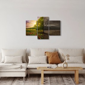 Obraz - Kolobeh života (90x60 cm)