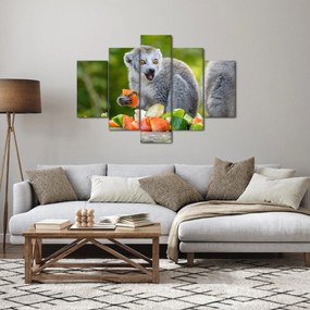 Obraz lemura (150x105 cm)