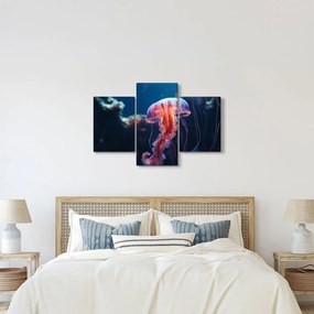 Obraz - Medúzka (90x60 cm)
