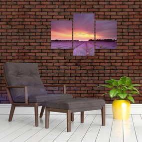 Obraz - Levanduľové pole (90x60 cm)