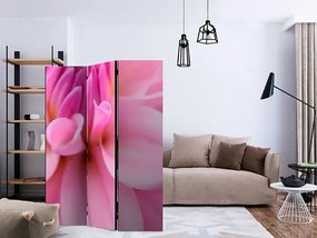 Paraván - Flower petals - dahlia [Room Dividers] Veľkosť: 135x172, Verzia: Akustický