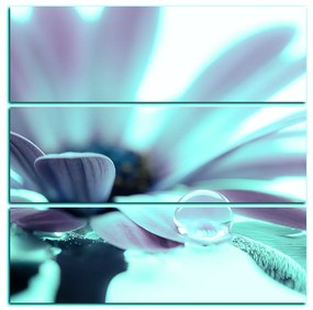 Obraz na plátne - Kvapka rosy na lúpeňoch kvetu - štvorec 380FC (105x105 cm)