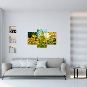 Obraz žltých kvetov (90x60 cm)