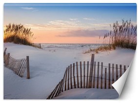 Fototapeta, Mořské pláže duny písek - 100x70 cm