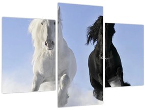 Obraz - Kone v zime (90x60 cm)