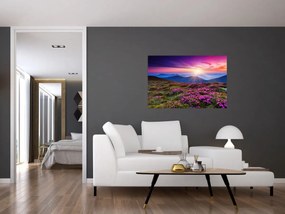 Obraz - Horská rozkvitnutá krajina (90x60 cm)