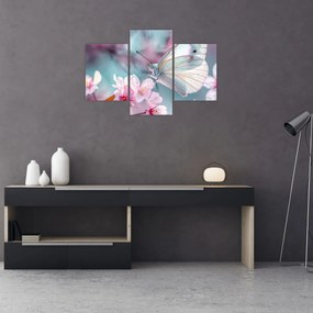 Obraz - Motýľ na čerešni (90x60 cm)