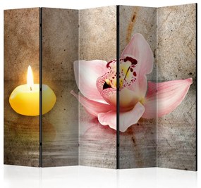 Artgeist Paraván - Romantic Evening II [Room Dividers]