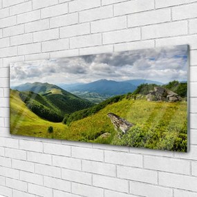 Obraz na akrylátovom skle Hora lúka krajina 125x50 cm