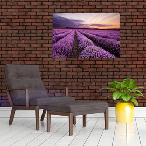 Obraz - Levanduľové pole pri západe slnka (90x60 cm)