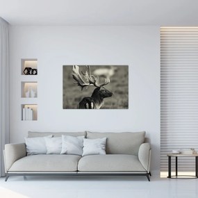 Obraz - Jeleň (90x60 cm)