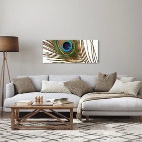 Obraz pávieho peria (120x50 cm)