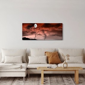 Obraz - Mesiac osvetľujúce noc (120x50 cm)