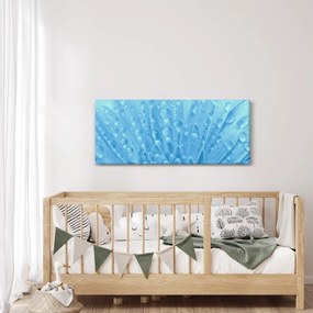 Obraz - Makro záber kvetu (120x50 cm)