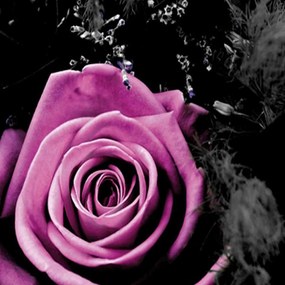 Ozdobný paraván Růže Květiny - 110x170 cm, trojdielny, obojstranný paraván 360°
