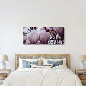 Obraz - Magnolie (120x50 cm)
