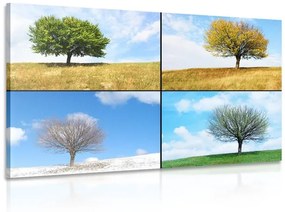 Obraz štyri ročné obdobia