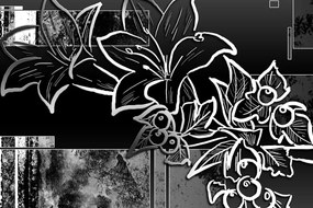 Obraz kvetinová ilustrácia v čiernobielom prevedení Varianta: 120x80