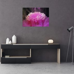 Sklenený obraz kvetiny v ružovom dyme (70x50 cm)