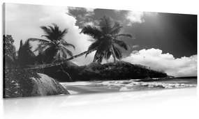 Obraz nádherná pláž na ostrove Seychely v čiernobielom prevedení - 120x60
