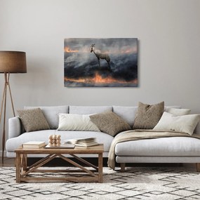 Obraz kamzíka v ohni (90x60 cm)
