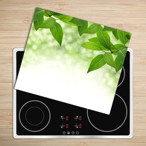 Sklenená doska na krájanie Zelené listy 60x52 cm