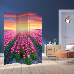 Paraván - Pole tulipánov so slnkom (126x170 cm)