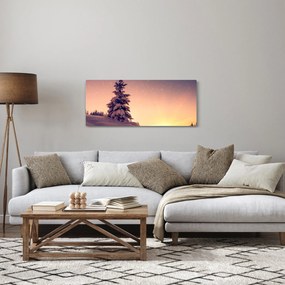 Obraz zasneženého stromu na lúke (120x50 cm)