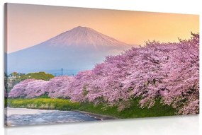 Obraz japonská sopka Fuji Varianta: 120x80
