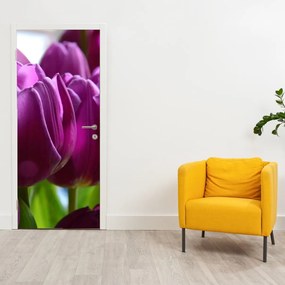 Fototapeta na dvere - Tulipány (95x205cm)