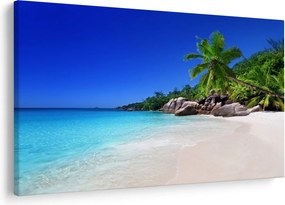 Obraz pláže na Praslin ostrove (90x60 cm)