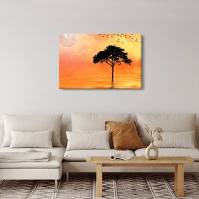 Obraz stromu pri západe slnka (90x60 cm)