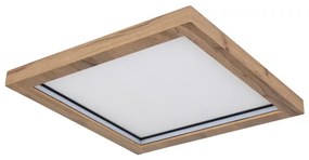 Globo 41374-24 - LED RGBW Stmievateľné stropné svietidlo BRANZA LED/24W/230V + DO