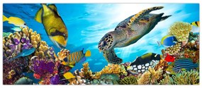 Obraz koralového útesu (120x50 cm)